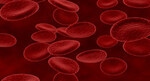 Clinical Trial Shows Levothyroxine does not Improve Anemia