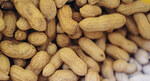 Peanut Patch Therapy in Young Children with Allergies