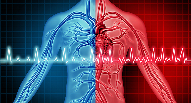 Clinical trial finds catheter ablation eases anxiety and depression in Afib patients