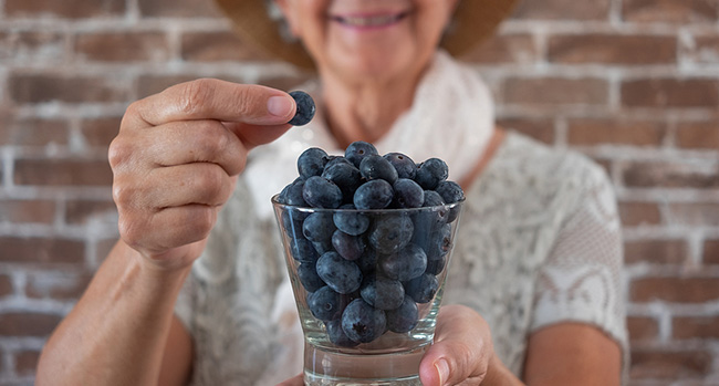 Clinical trial finds that blueberries may be beneficial in reducing the risk of dementia