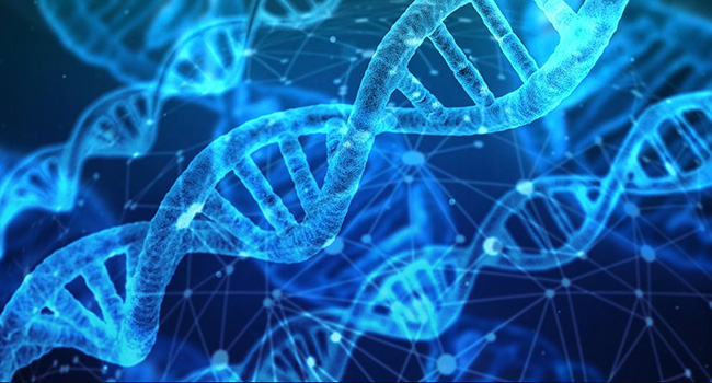 Clinical trial determines that genetic screen can significantly reduce adverse drug reactions