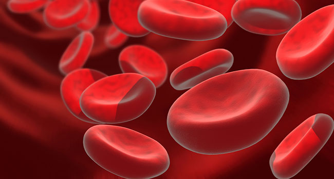 Artificial red blood cells have more properties than the originals