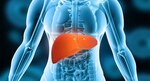 Clinical Trial Investigates the Effect of Tucatinib in Patients with Liver Disease