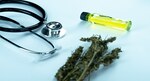 Cannabis: Safe and Effective Therapy in Epilepsy