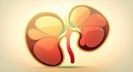 Clinical Trial Compares Kidney Transplant vs. Dialysis for Renal Failure Patients