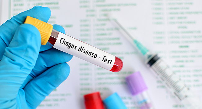 About Chagas Disease